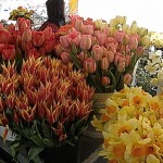 flowers in Pike Place Market